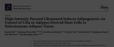 Oh S, Kim HM, Batsukh S, Sun HJ, Kim T, Kang D, Son KH, Byun K. High-Intensity Focused Ultrasound Induces Adipogenesis via Control of Cilia in Adipose-Derived Stem Cells in Subcutaneous Adipose Tissue. Int J Mol Sci. 2022 Aug 9;23(16):8866. doi: 10.3390/i