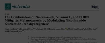 Park HJ, Byun KA, Oh S, Kim HM, Chung MS, Son KH, Byun K. The Combination of Niacinamide, Vitamin C, and PDRN Mitigates Melanogenesis by Modulating Nicotinamide Nucleotide Transhydrogenase. Molecules. 2022 Aug 2;27(15):4923. doi: 10.3390/molecules27154923