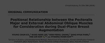 Gil YC, Lee KW, Chang DY, Park SH, Kim HJ, Kim HM. Positional relationship between the pectoralis major and external abdominal oblique muscles for consideration during dual-plane breast augmentation. Clin Anat. 2018 Apr;31(3):339-346. doi: 10.1002/ca.2305
