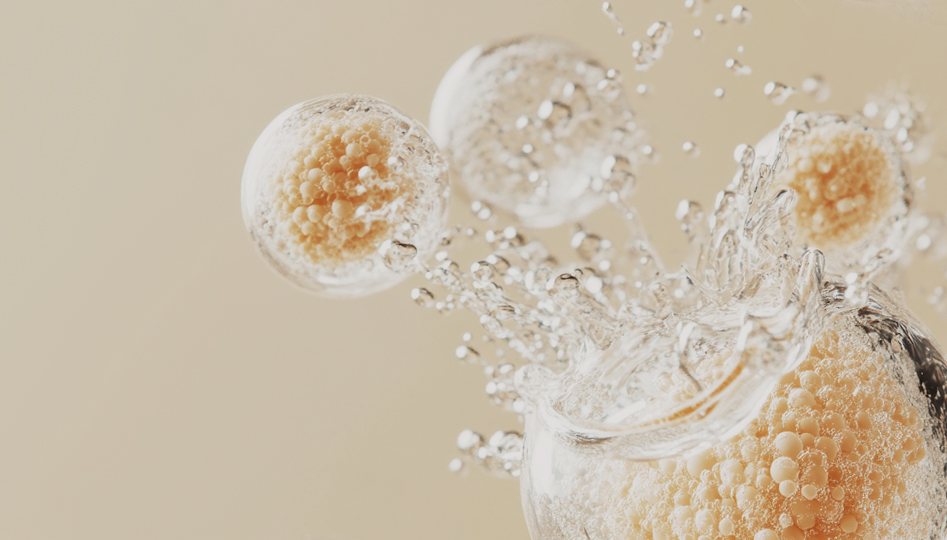 Stem Cell Program